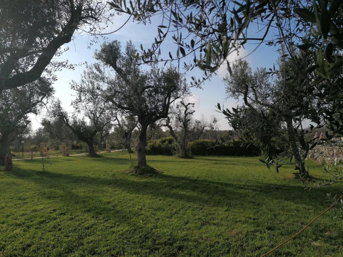 Tenuta San Lorenzo