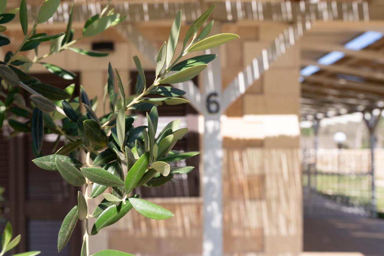 Tenuta San Lorenzo Farm stay